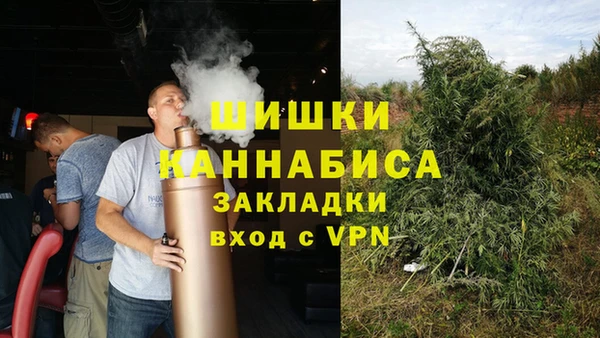 PSILOCYBIN Балахна