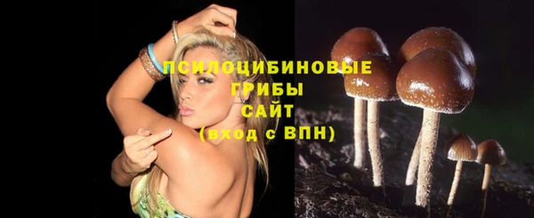 2c-b Баксан