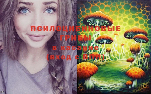 2c-b Беломорск