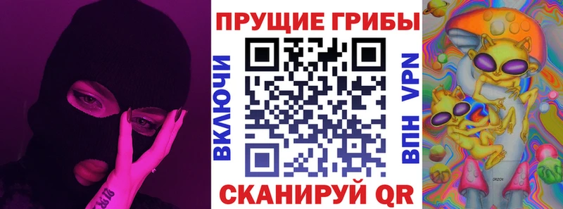Галлюциногенные грибы Psilocybine cubensis Гатчина