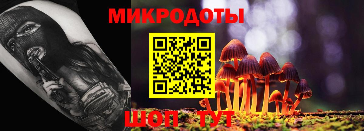 Псилоцибиновые грибы Psilocybe  Псилоцибиновые грибы Magic Shrooms  Вход с VPN  Гатчина 