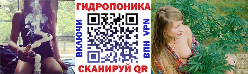 купить закладку OMG tor Каннабис THC 21% Гатчина